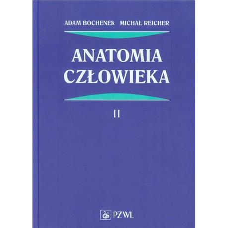 ANATOMIA 2 BOCHENEK-3490