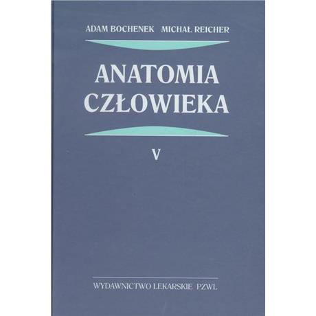 ANATOMIA 5 BOCHENEK-3487