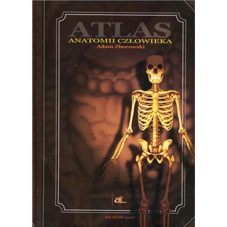ATLAS ANATOMII CZŁOWIEKA-2641