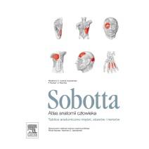 ATLAS ANATOMII SOBOTTA TABLICE -1068