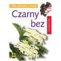 CZARNY BEZ-2168