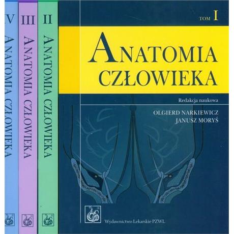 ANATOMIA CZŁOWIEKA 1-4 NARKIEWICZ-2815