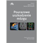 POURAZOWE USZKODZENIA MÓŻGU-4013