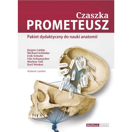 CZASZKA PROMETEUSZ PAKIET DYDAKTYCZNY-4287