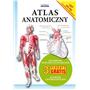 ATLAS ANATOMICZNY BROSZURA-4518