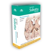 FLASHCARDS NEUROANATOMIA ŁACINA