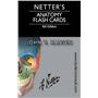 NETTER'S ANATOMY FLASH CARDS-3672