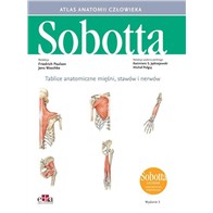 TABLICE ANATOMICZNE Z WYKAZEM MIĘŚNI STAWÓW I NERW