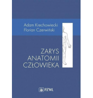 ZARYS ANATOMII CZŁOWIEKA TWARDA OKŁADKA