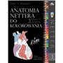 ANATOMIA NETTERA DO KOLOROWANIA-4961