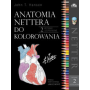 ATALS ANATOMII NETTERA + KOLOROWANKA