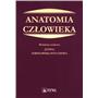 ANATOMIA CZ SOKOŁOWSKA-5130